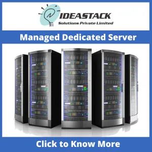 Managed Dedicated Server